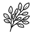 leaves icon