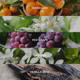 Collage of fruits and flowers with labels for Mandarin, Neroli, Red Grape, Jasmine, and Vanilla Bean.