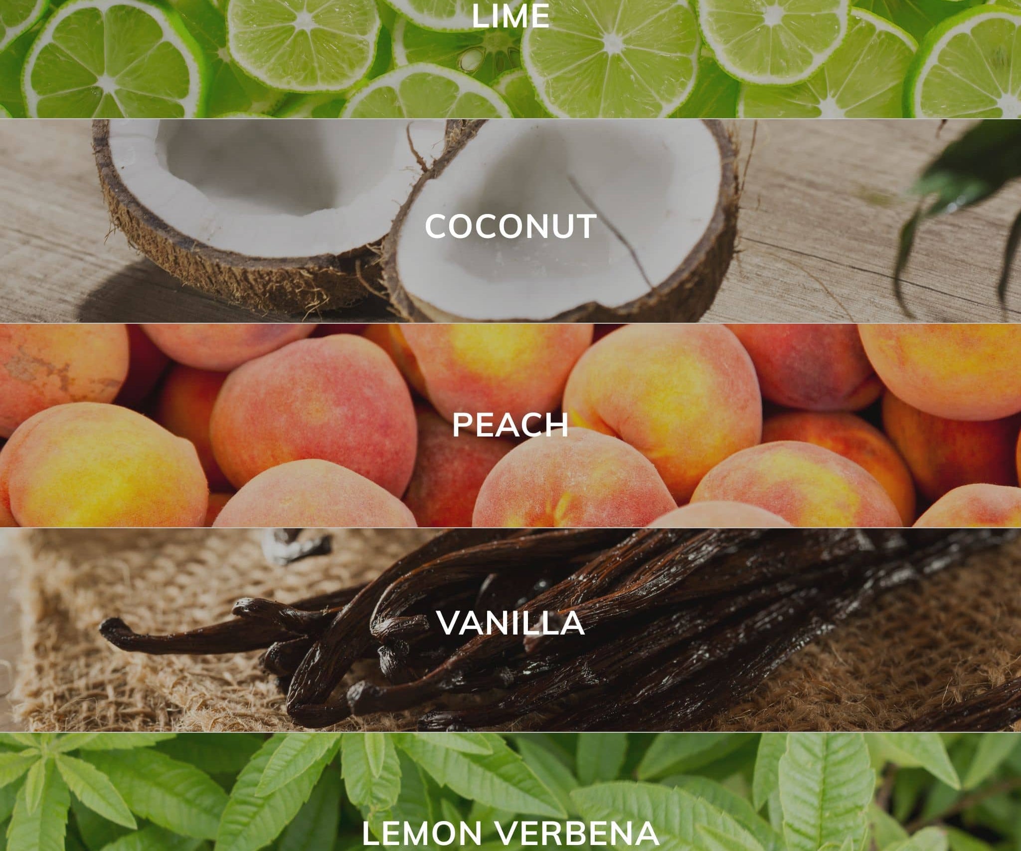 Collection of fruits and vanilla beans with corresponding labels on a green background
