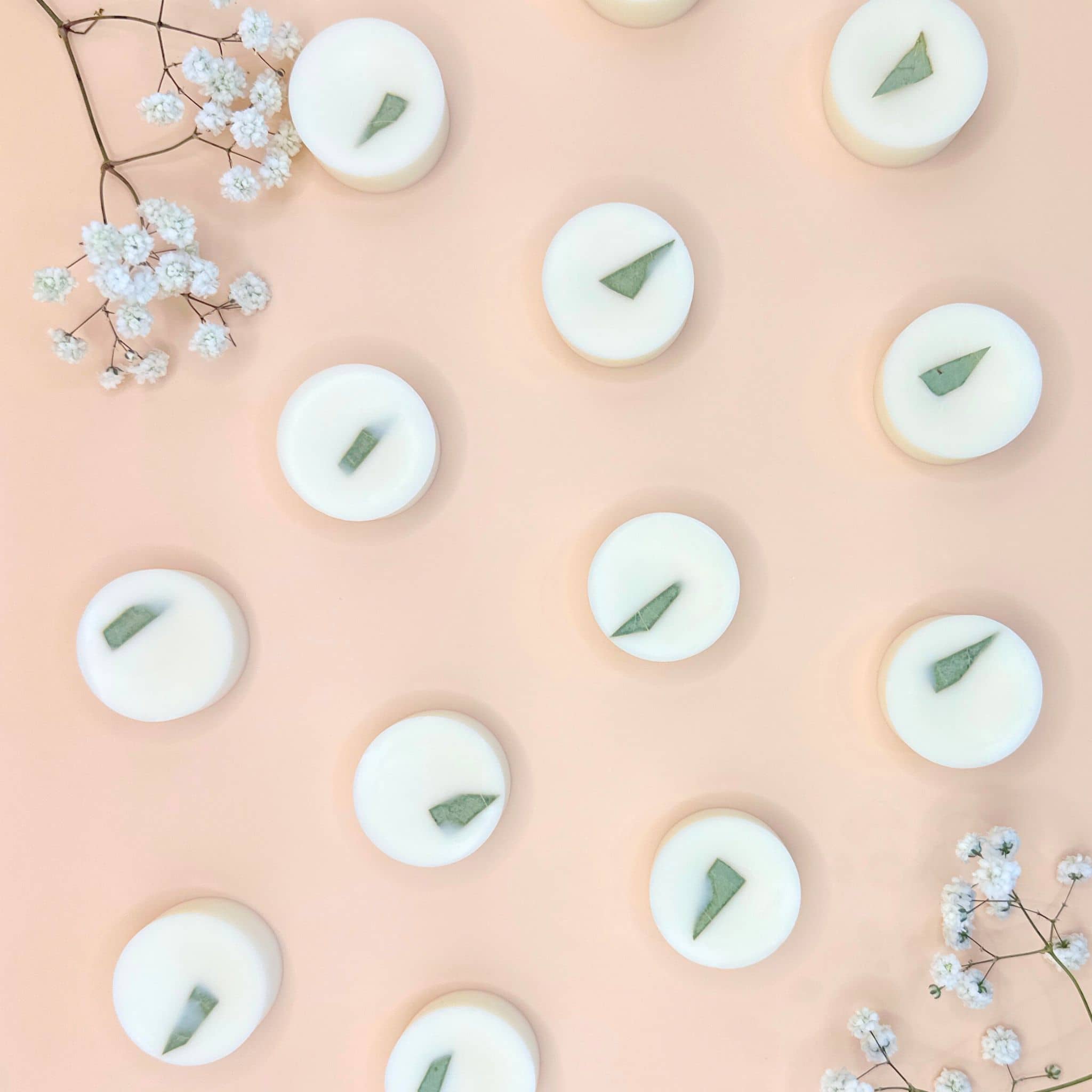Lemon and Eucalyptus wax melts with dried eucalyptus leaves - flat lay