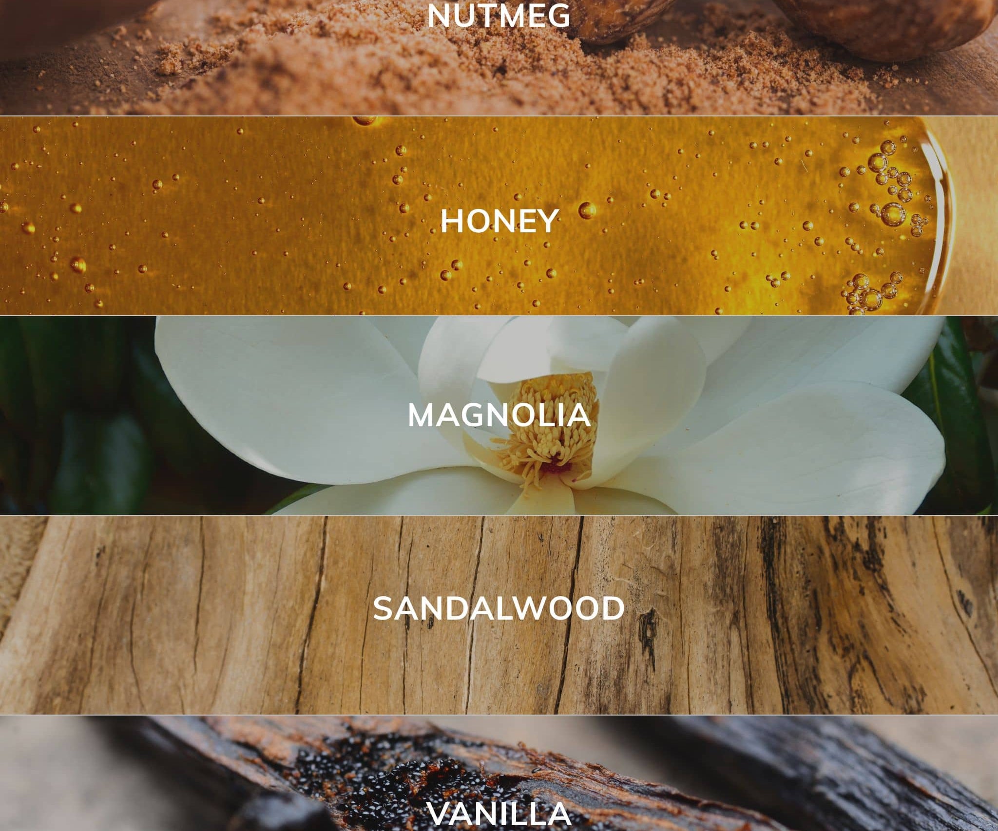 Collection of different scents with labels including nutmeg, honey, magnolia, sandalwood, and vanilla.