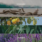 Collection of nature-themed labels including 'Ocean Mist', 'Driftwood', 'Lemon', 'Eucalyptus', and 'Lavender' with corresponding images.