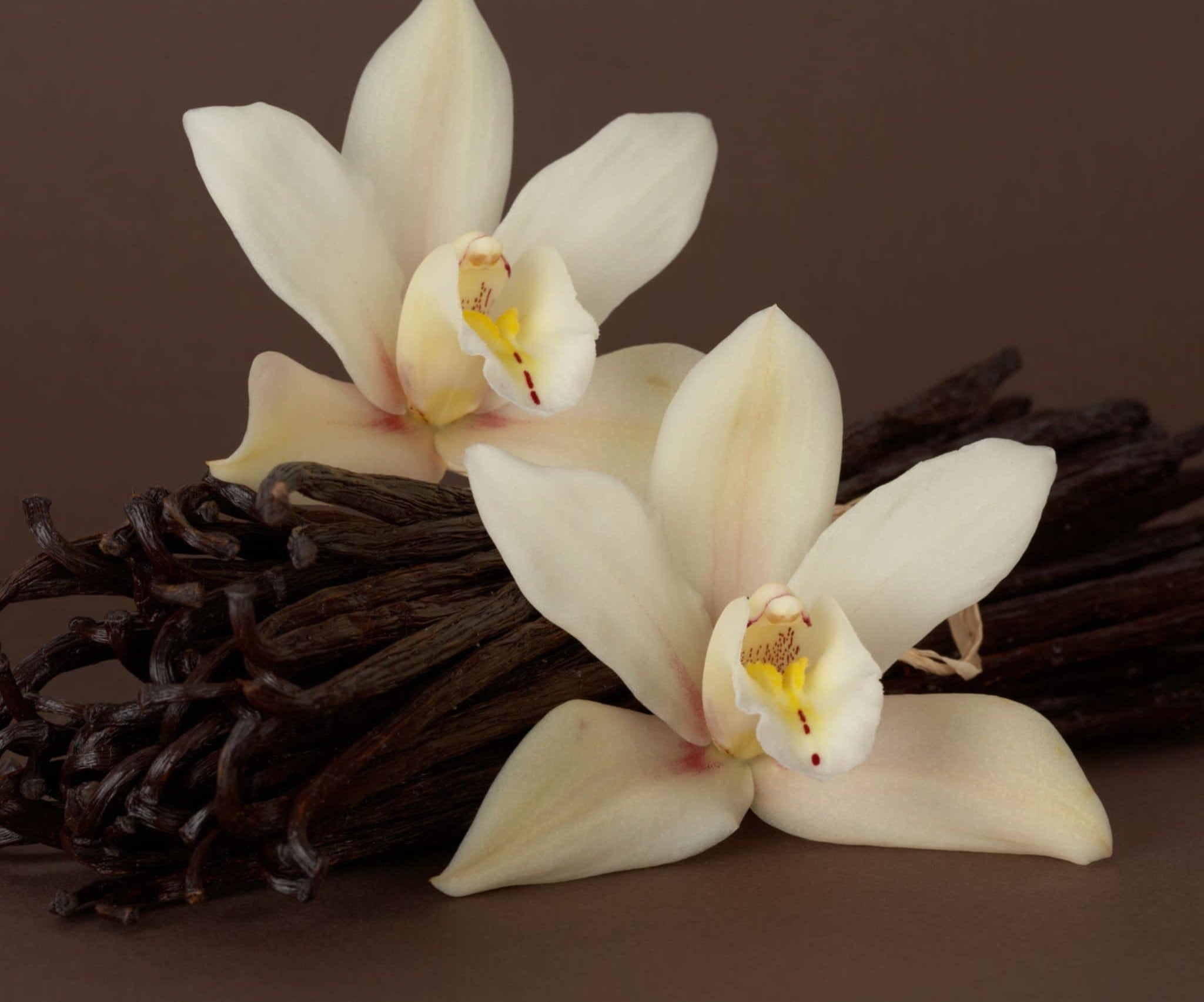 Flowers and vanilla sticks