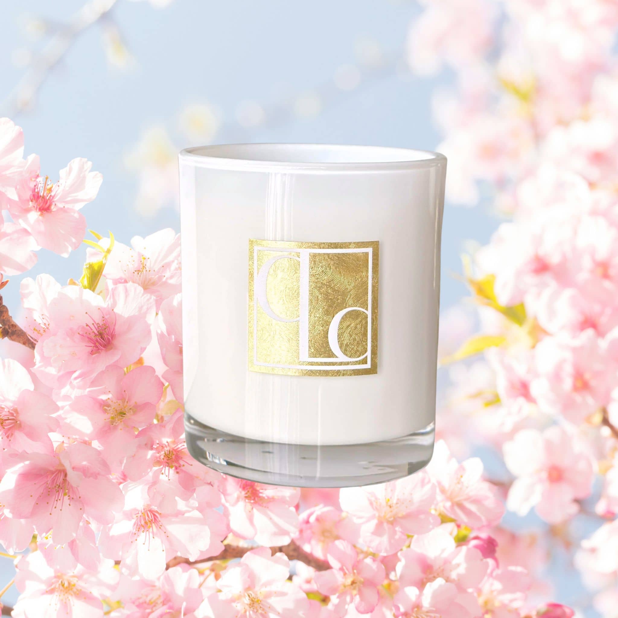 Sakura Season scented candle - cherry blossom background