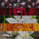 Collage of blackcurrants, a rose, white musk flower, amber texture, and vanilla flowers with labels.