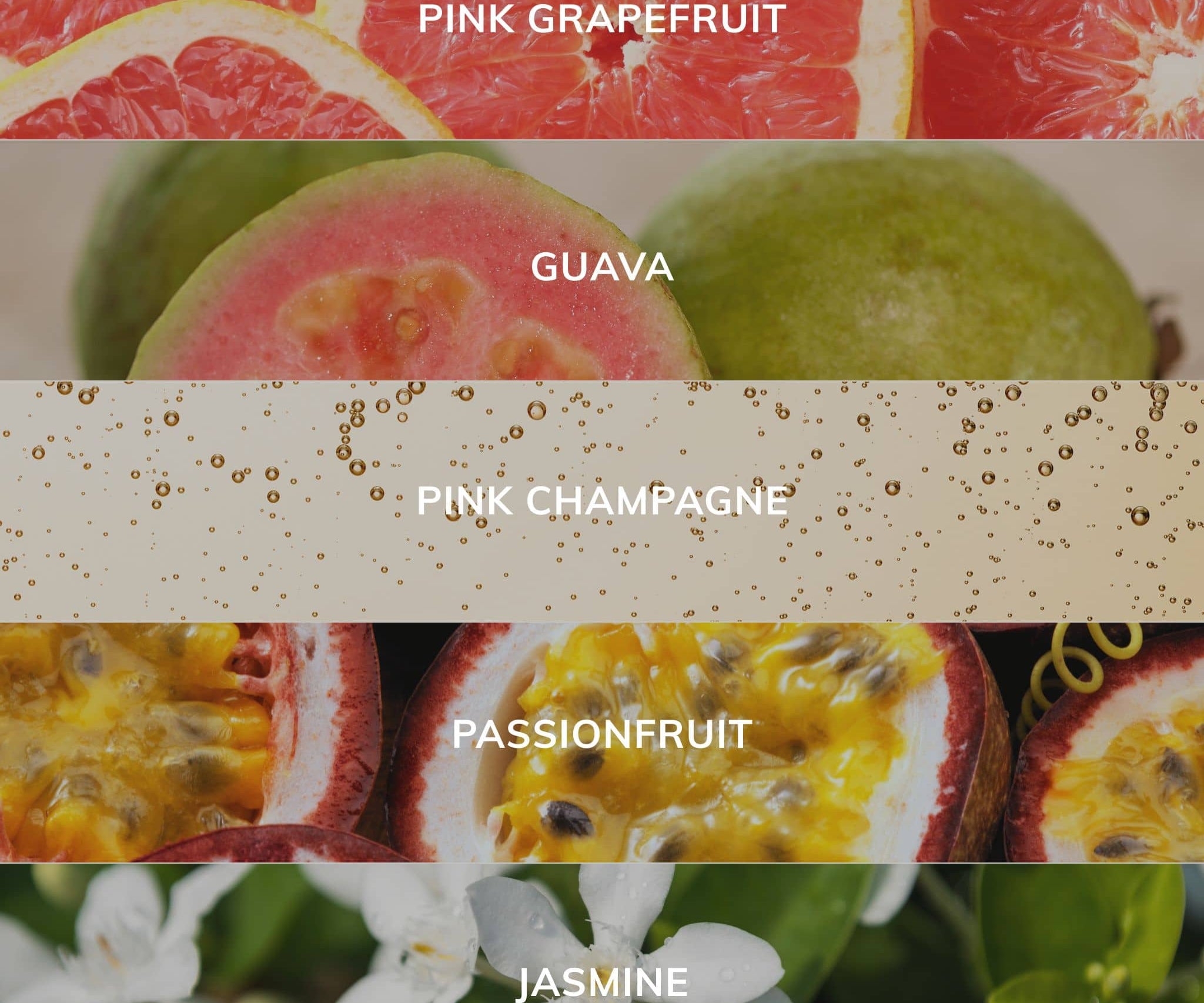 Collage of pink grapefruit, guava, pink champagne, passionfruit, and jasmine with labels above each.