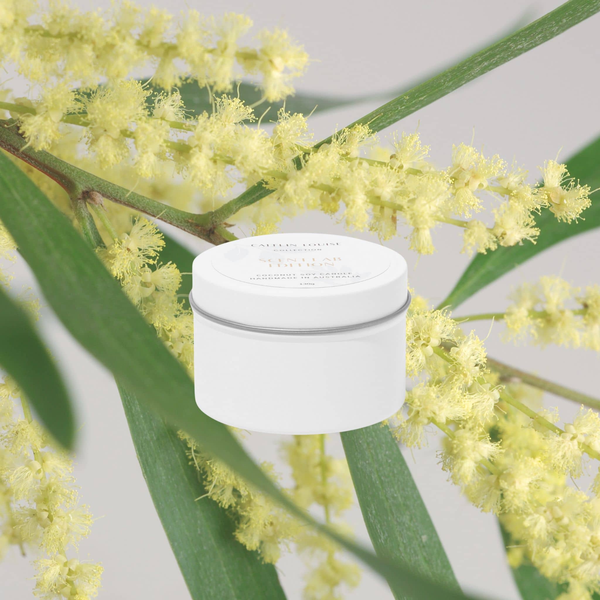 White travel tin candle with green leaves and yellow wattle flowers in the background.