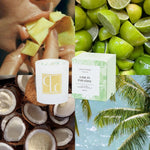 Collage of lime slices, coconut halves, Lime in Paradise candle, and palm trees.
