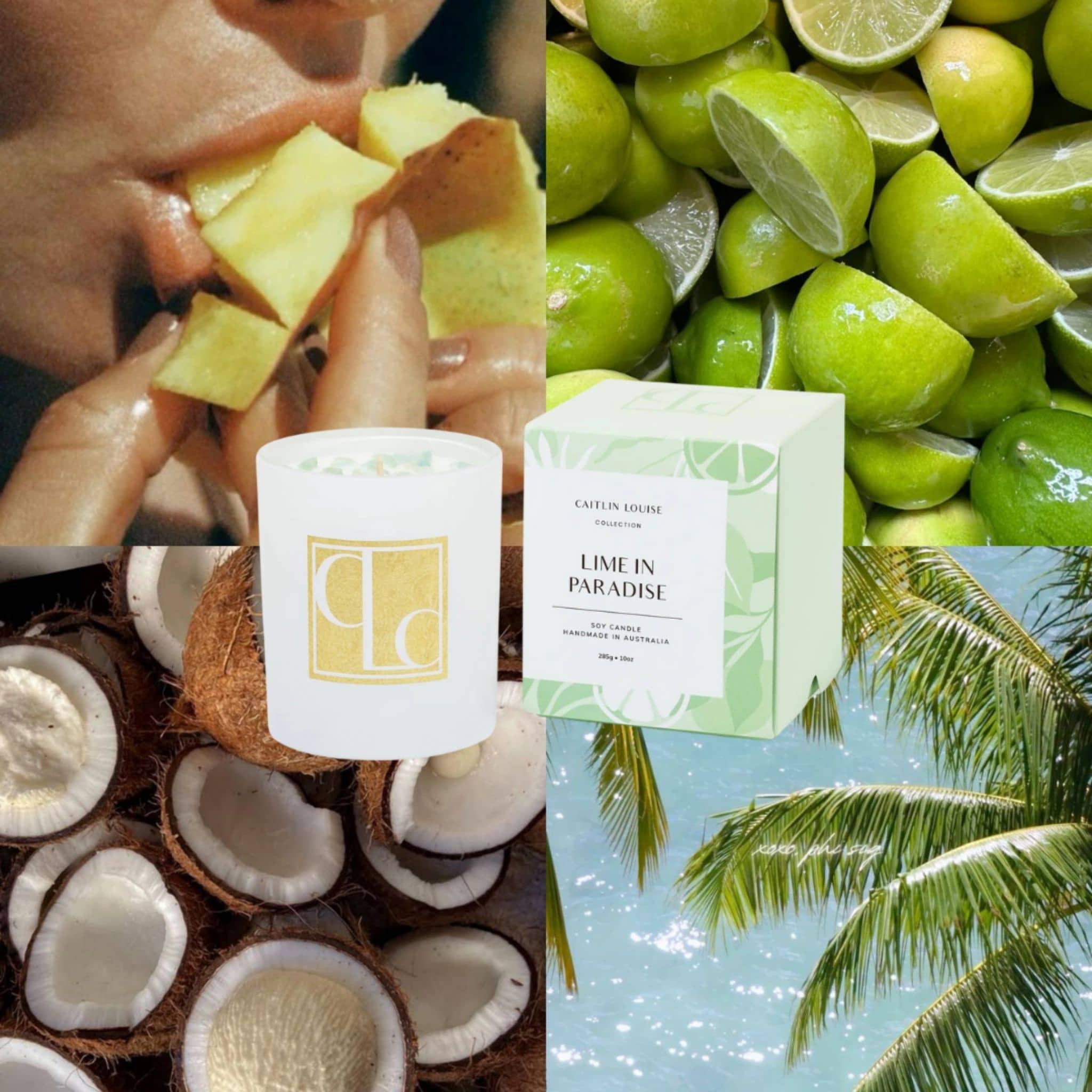 Collage of lime slices, coconut halves, Lime in Paradise candle, and palm trees.