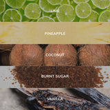 Collection of ingredients including lime, pineapple, coconut, burnt sugar, and vanilla with corresponding labels.