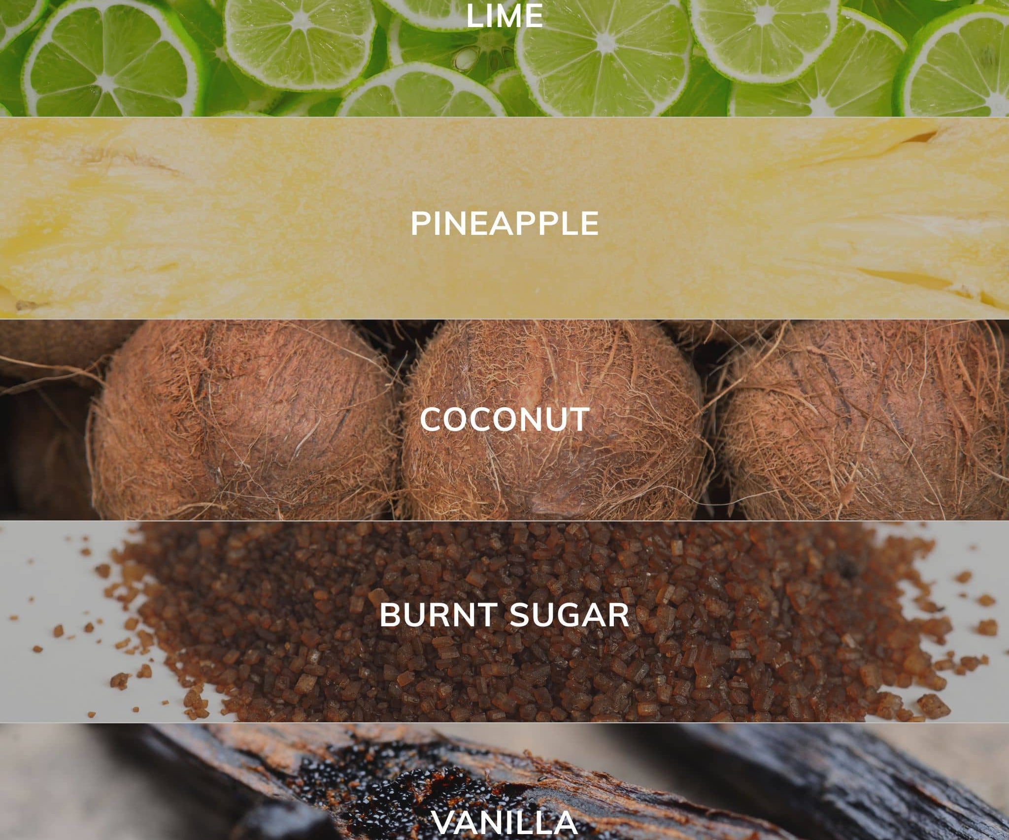 Collection of ingredients including lime, pineapple, coconut, burnt sugar, and vanilla with corresponding labels.