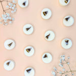 Pear and Lime wax melts with dried lime - flat lay